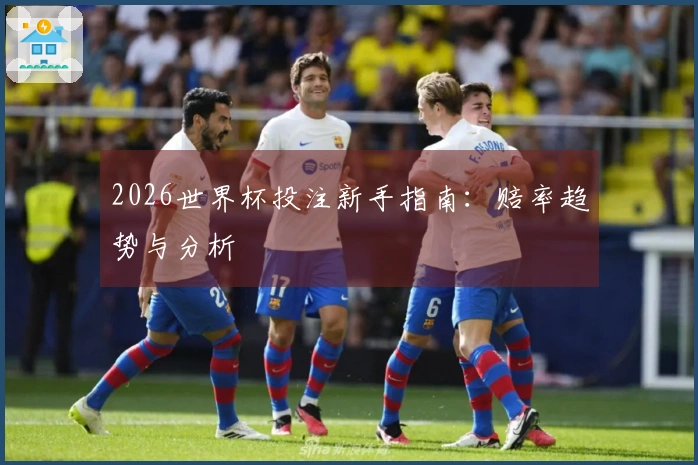 2026世界杯投注新手指南：赔率趋势与分析