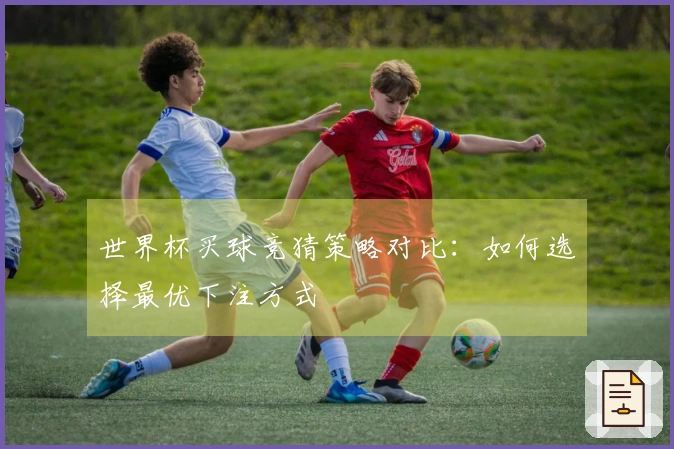 世界杯买球竞猜策略对比：如何选择最优下注方式