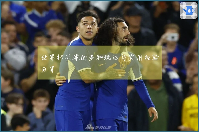 世界杯买球的多种玩法与实用经验分享