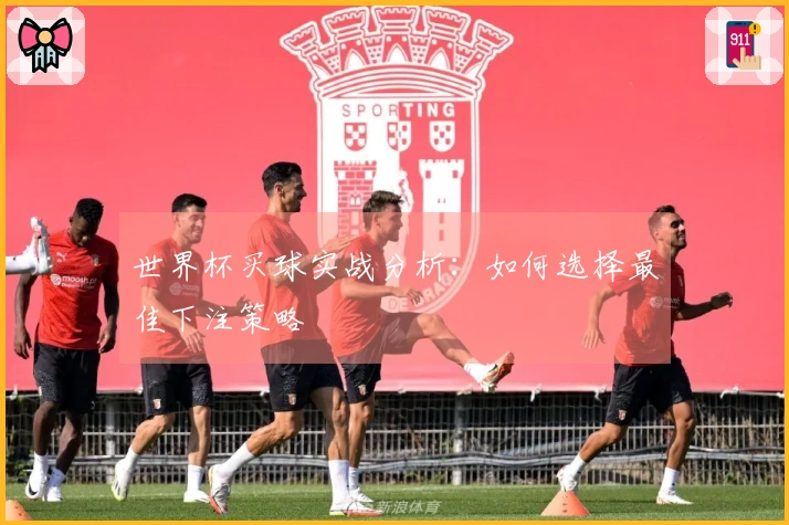 世界杯买球实战分析：如何选择最佳下注策略