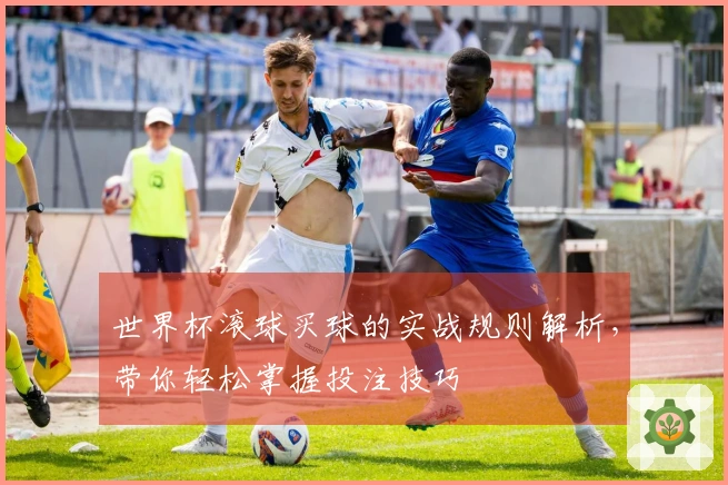 世界杯滚球买球的实战规则解析，带你轻松掌握投注技巧