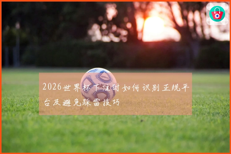 2026世界杯下注时如何识别正规平台及避免踩雷技巧