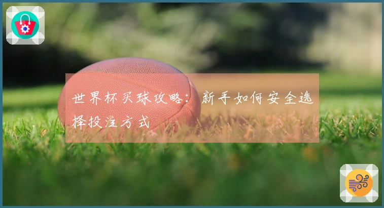 世界杯买球攻略：新手如何安全选择投注方式