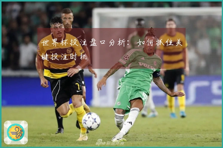 世界杯投注盘口分析：如何抓住关键投注时机