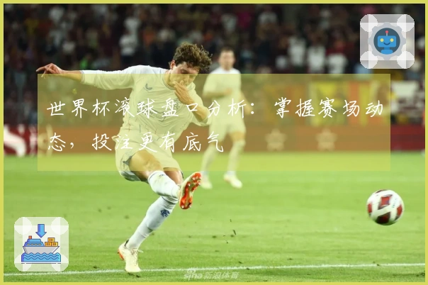 世界杯滚球盘口分析：掌握赛场动态，投注更有底气