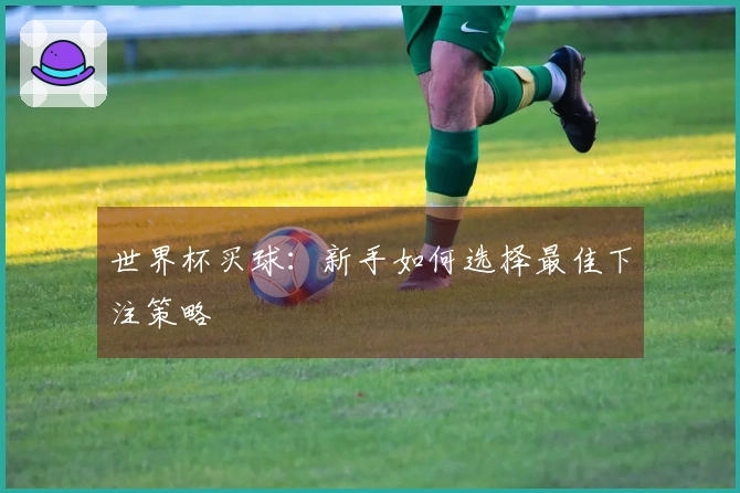 世界杯买球：新手如何选择最佳下注策略