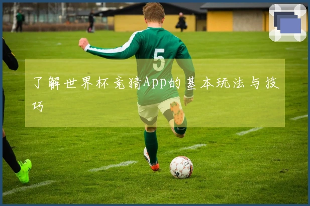 了解世界杯竞猜App的基本玩法与技巧