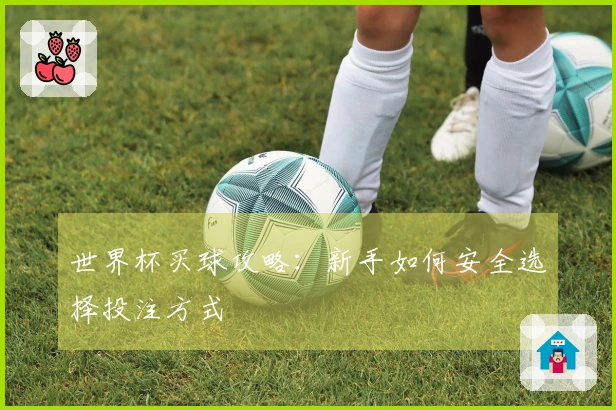 世界杯买球攻略：新手如何安全选择投注方式