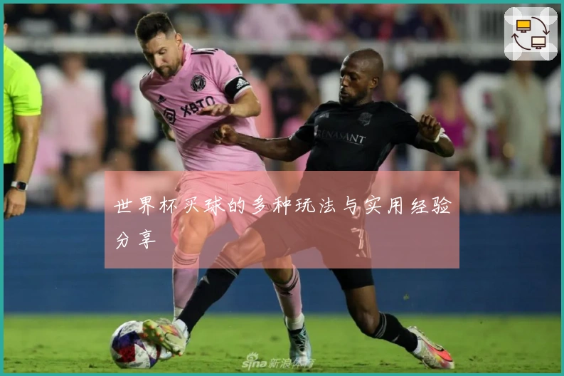 世界杯买球的多种玩法与实用经验分享